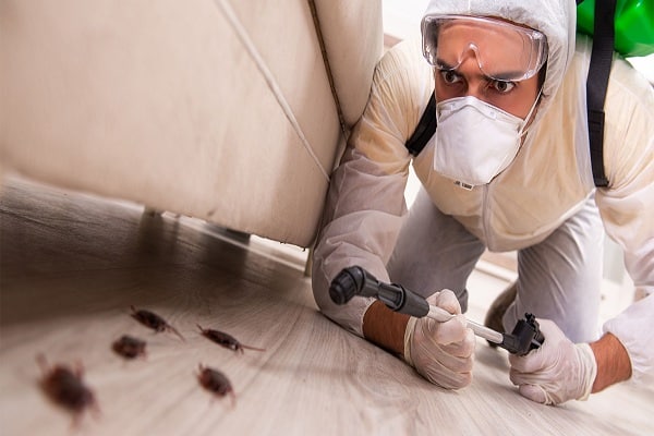 Residential Year-Round Pest-Away Services